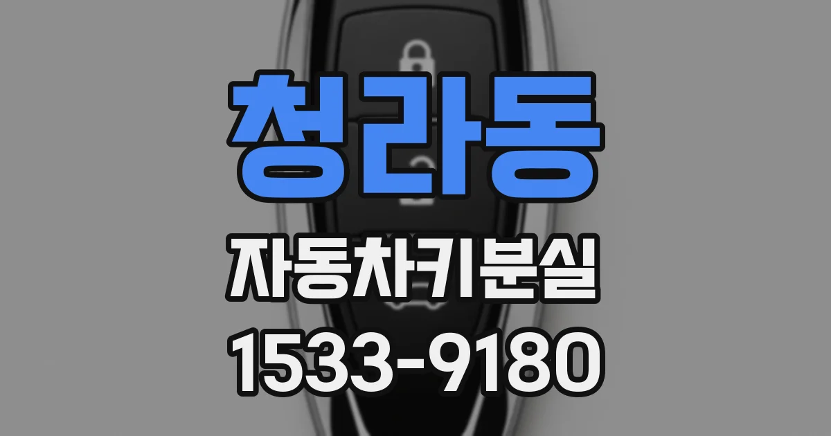 청라동 자동차키분실