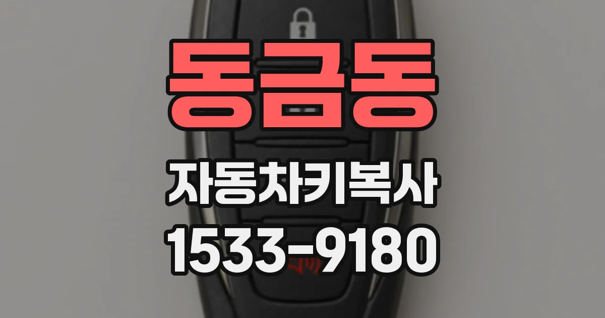 동금동 자동차키복사