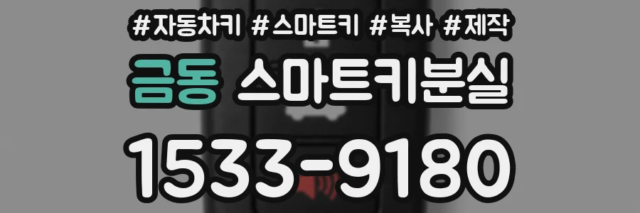 금동 스마트키분실