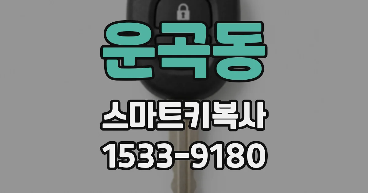 운곡동 스마트키복사