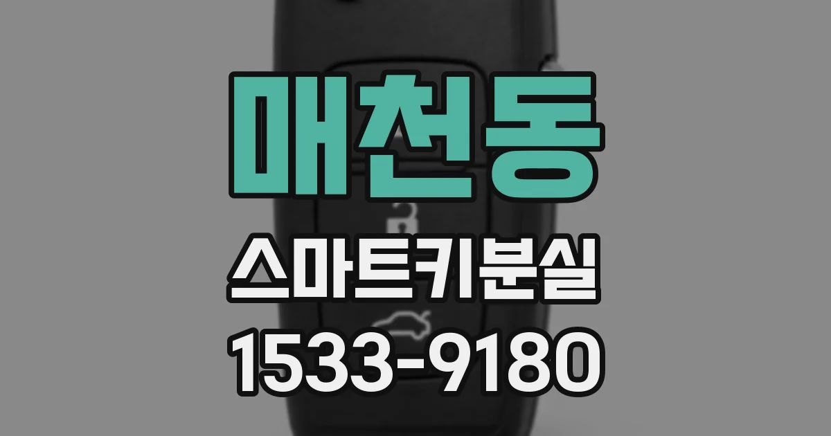 매천동 스마트키분실