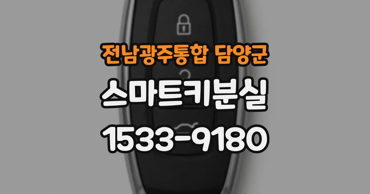 전남광주통합 담양군 스마트키분실