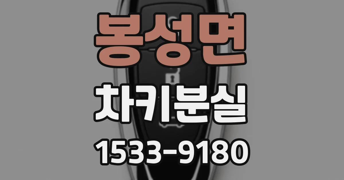 봉성면 차키분실
