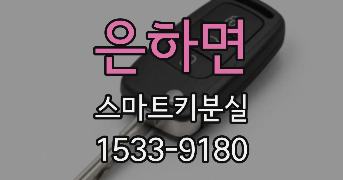 은하면 스마트키분실
