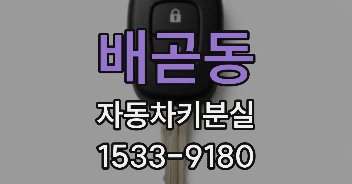 배곧동 자동차키분실