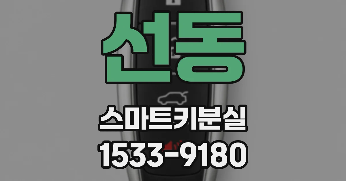 선동 스마트키분실