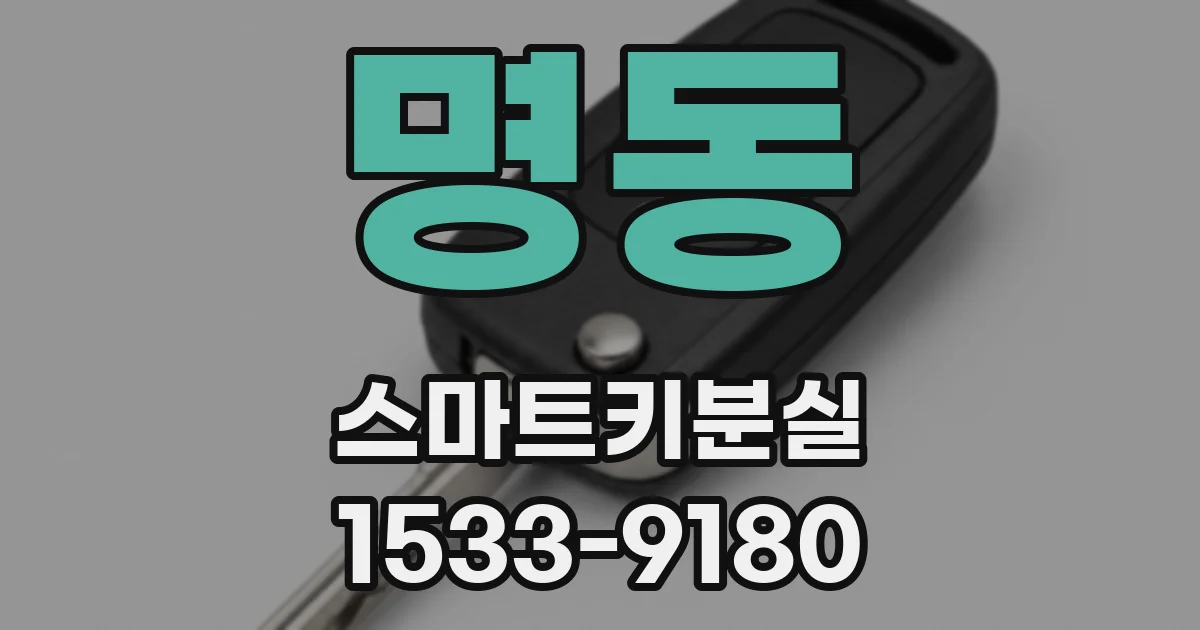 명동 스마트키분실