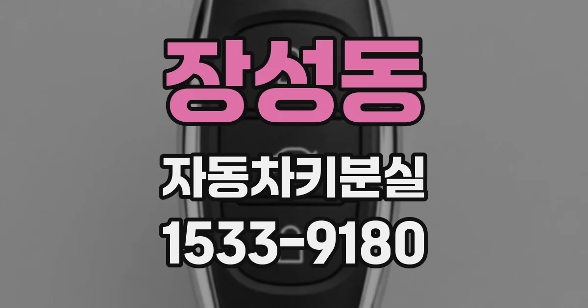 장성동 자동차키분실