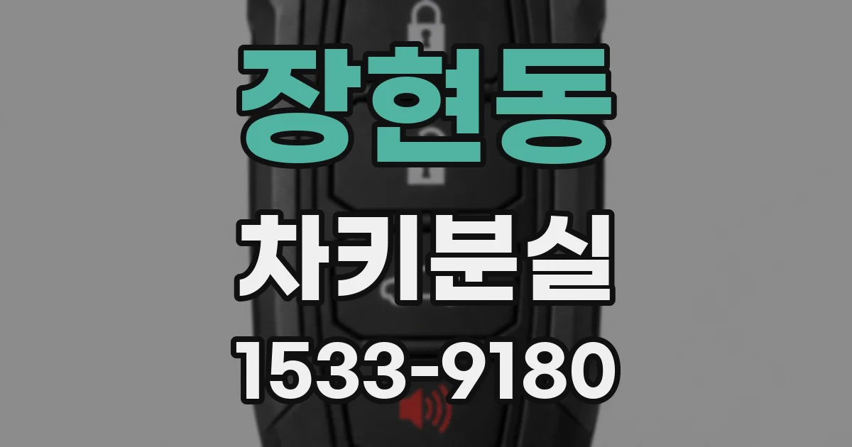 장현동 차키분실