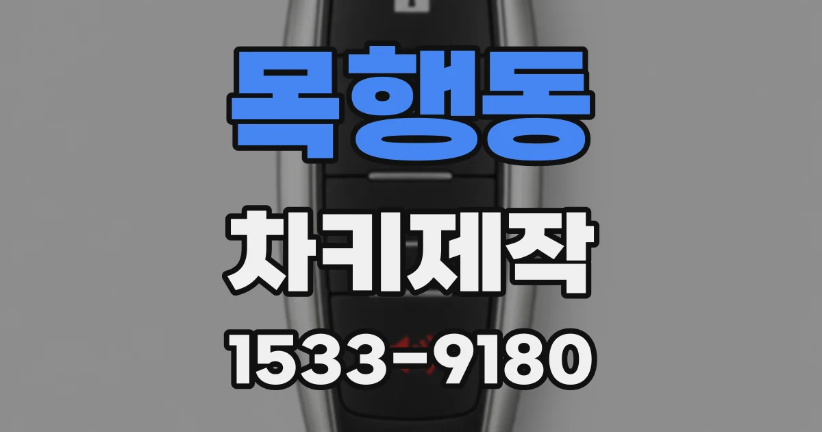 목행동 차키제작