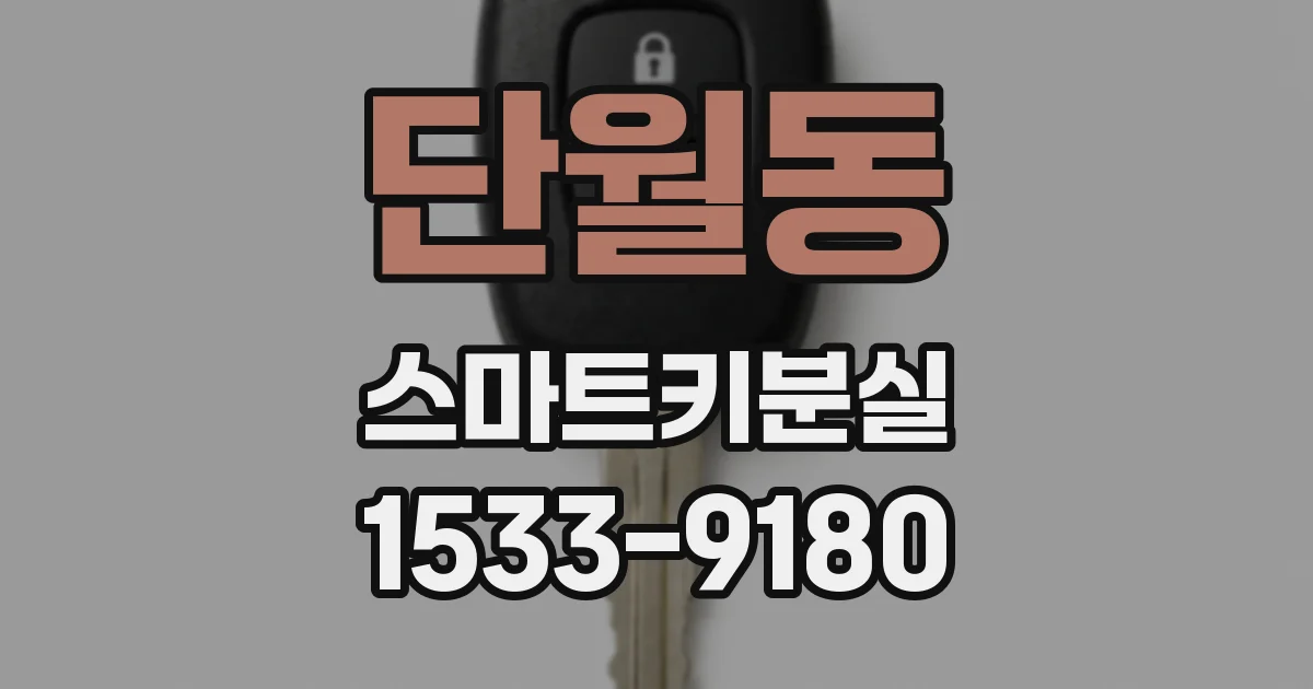 단월동 스마트키분실