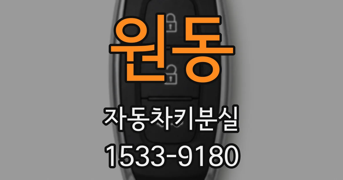 원동 자동차키분실