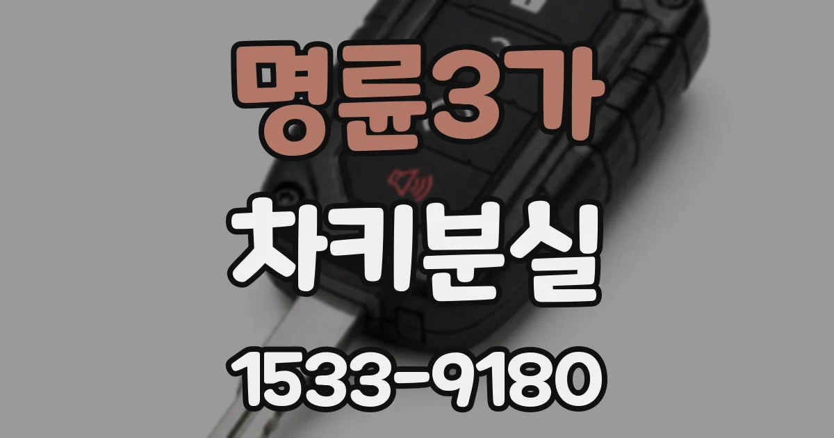 명륜3가 차키분실