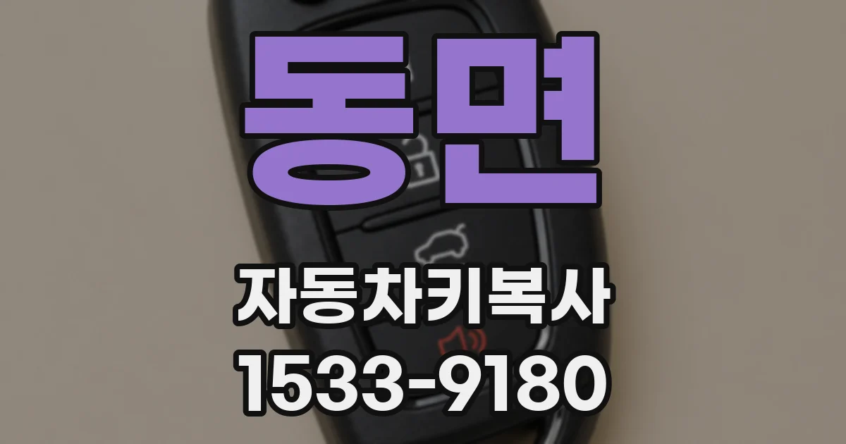 동면 자동차키복사
