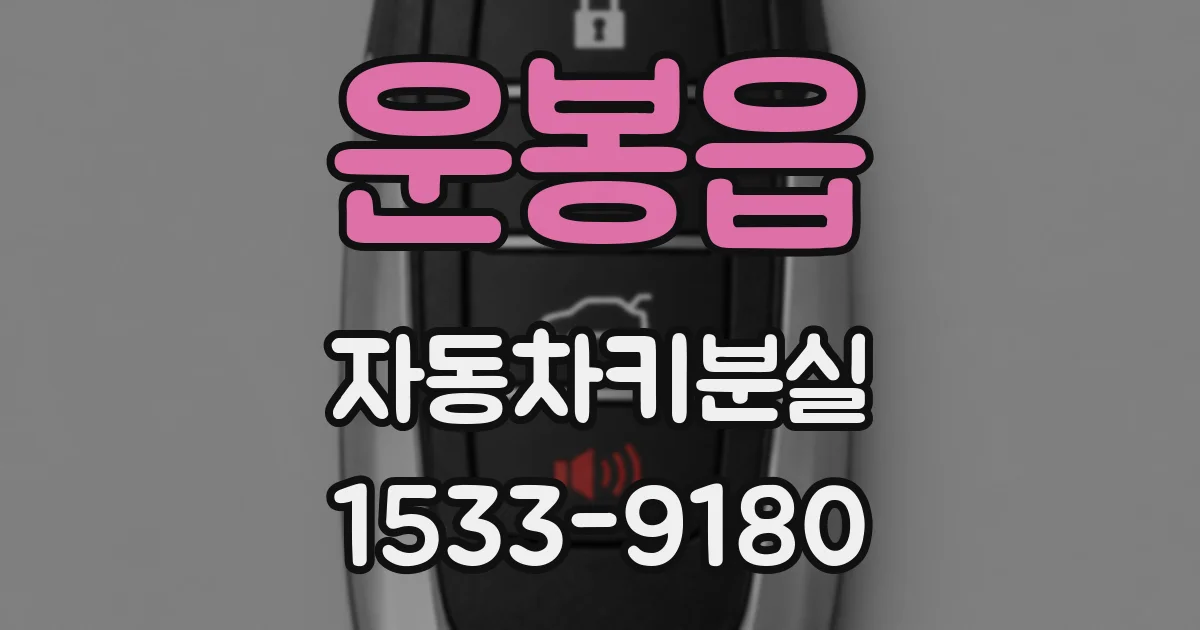 운봉읍 자동차키분실