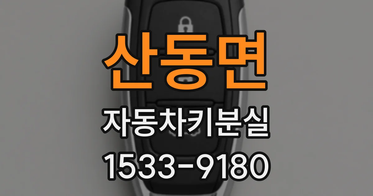 산동면 자동차키분실