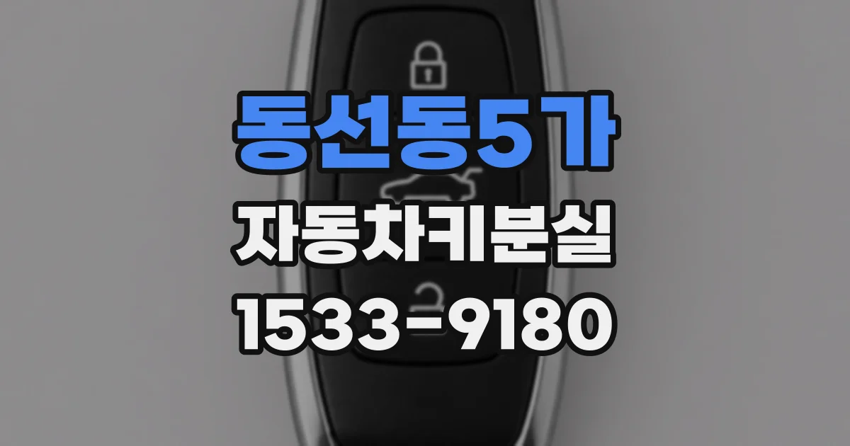 동선동5가 자동차키분실