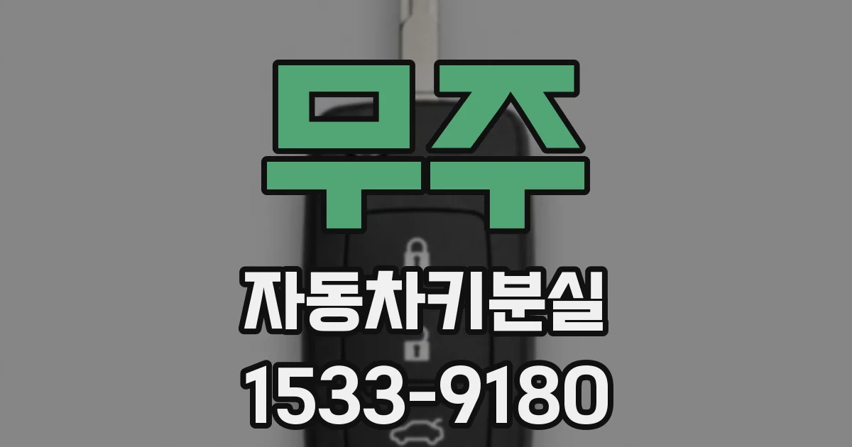 무주 자동차키분실