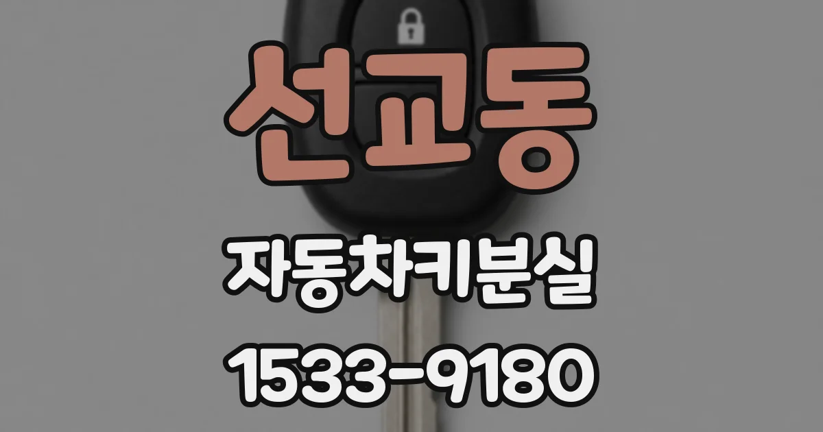 선교동 자동차키분실