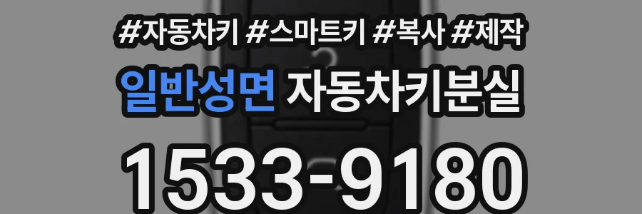 일반성면 자동차키분실