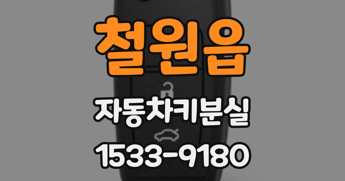 철원읍 자동차키분실