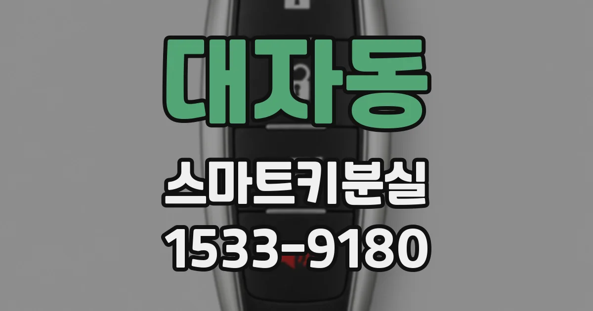 대자동 스마트키분실