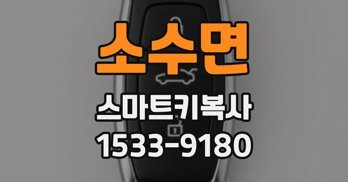 소수면 스마트키복사