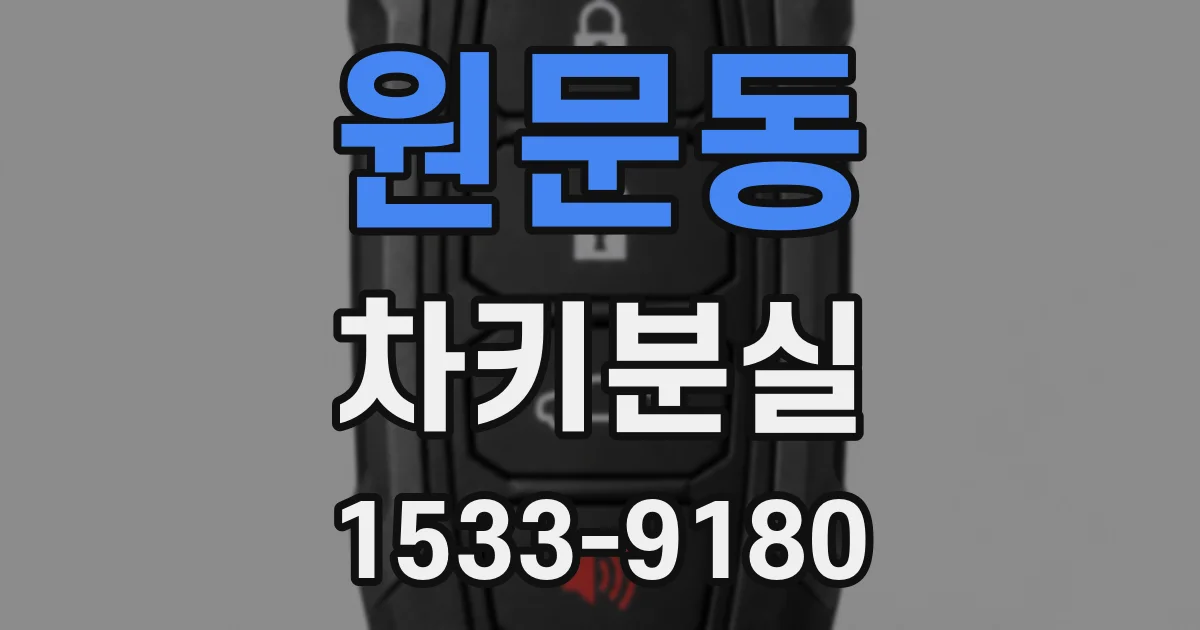 원문동 차키분실