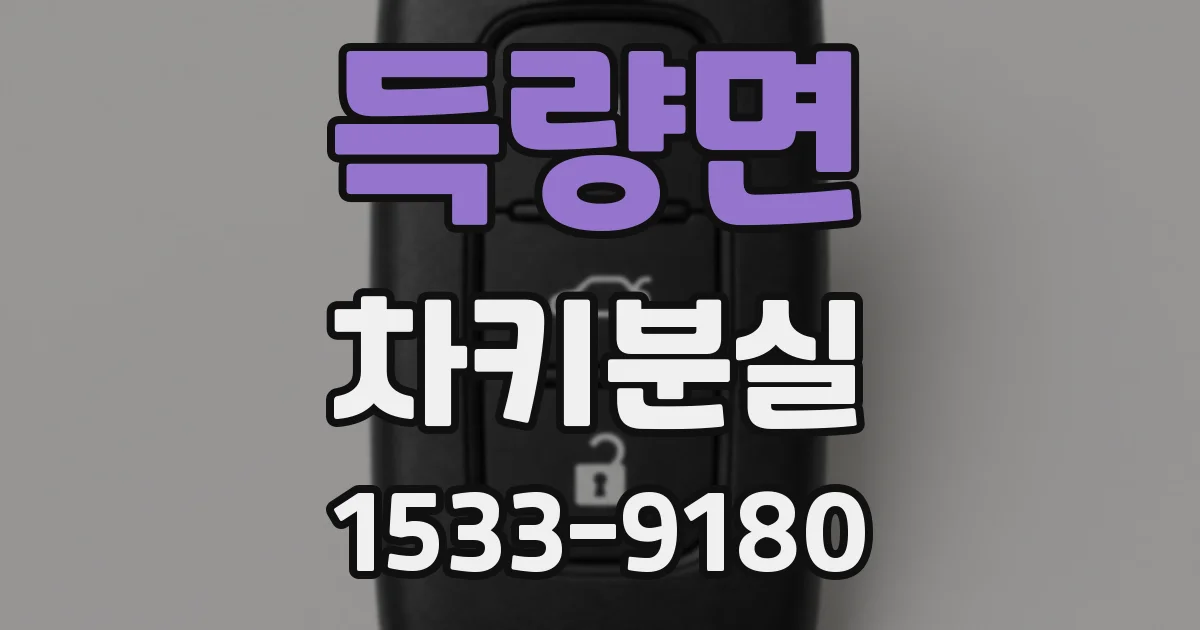 득량면 차키분실