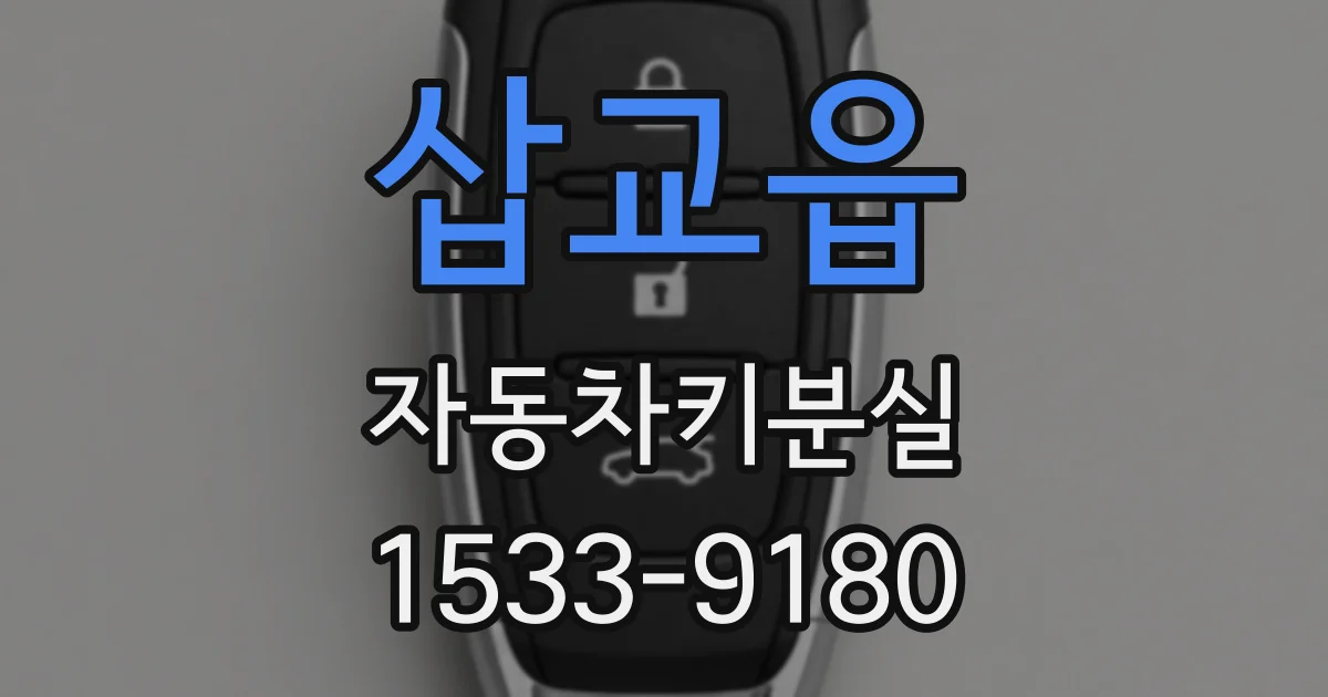 삽교읍 자동차키분실