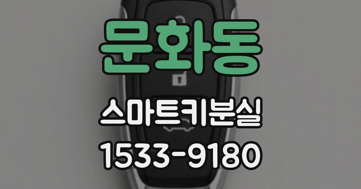 문화동 스마트키분실