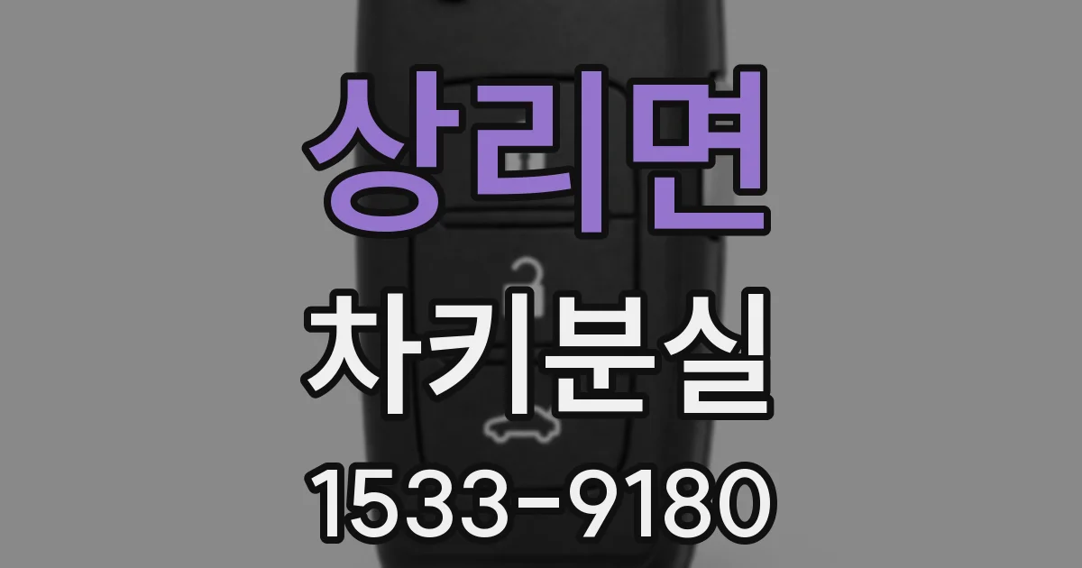 상리면 차키분실