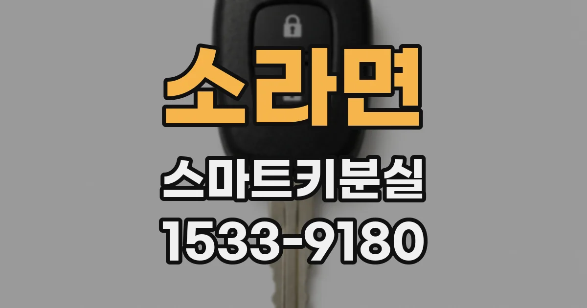 소라면 스마트키분실