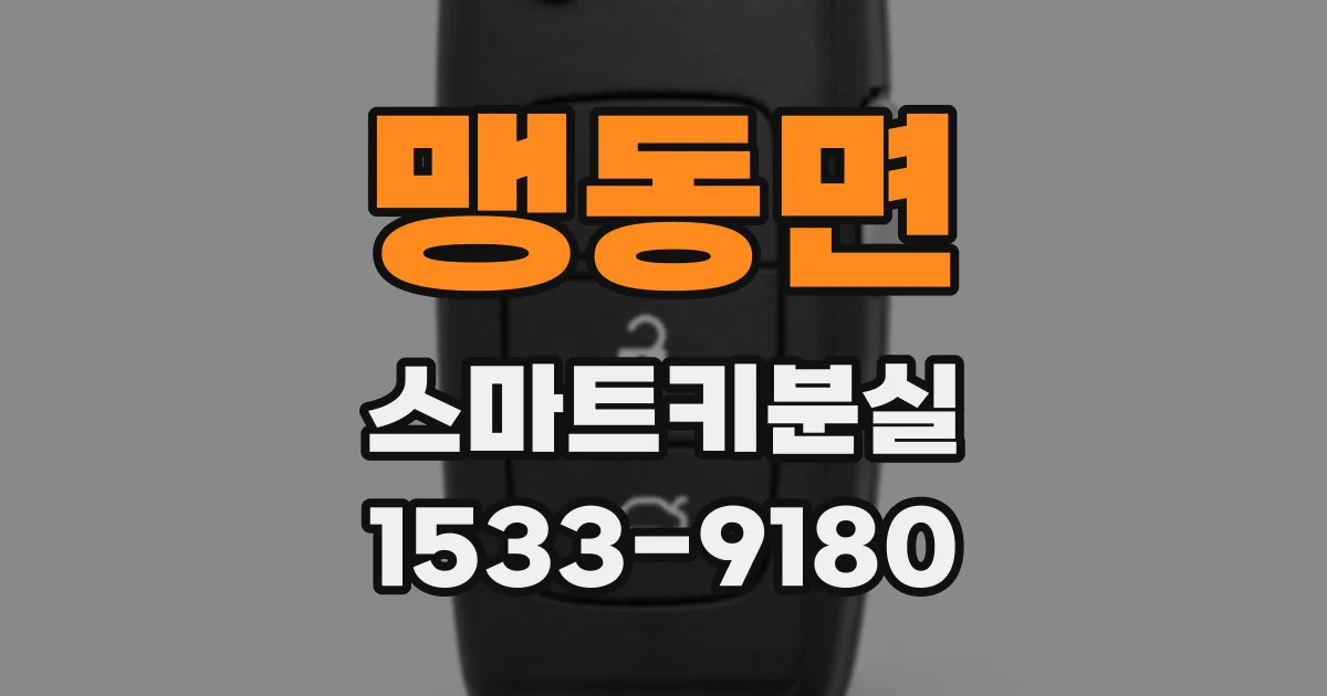 맹동면 스마트키분실