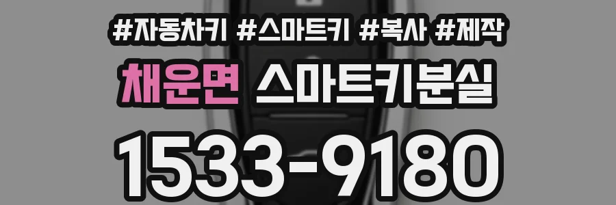 채운면 스마트키분실