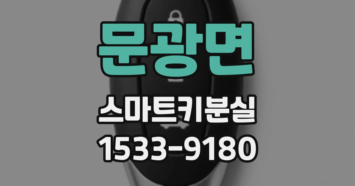 문광면 스마트키분실