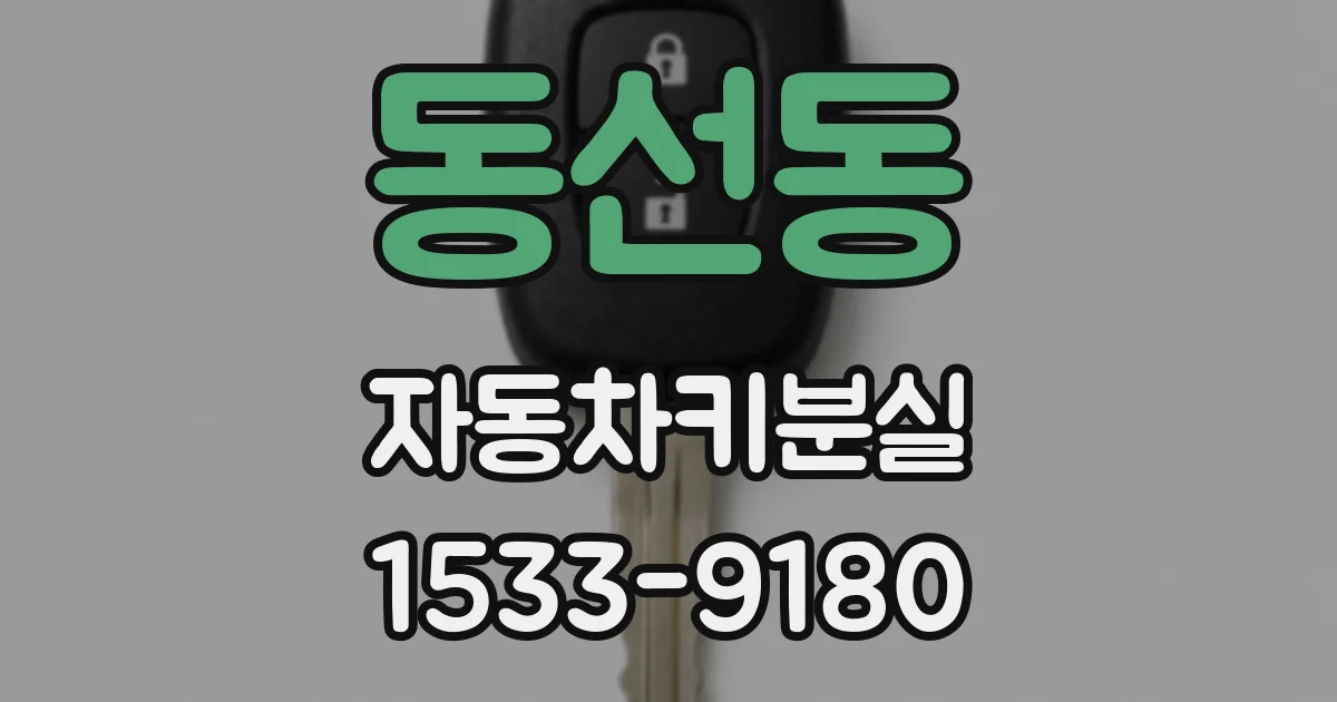 동선동 자동차키분실