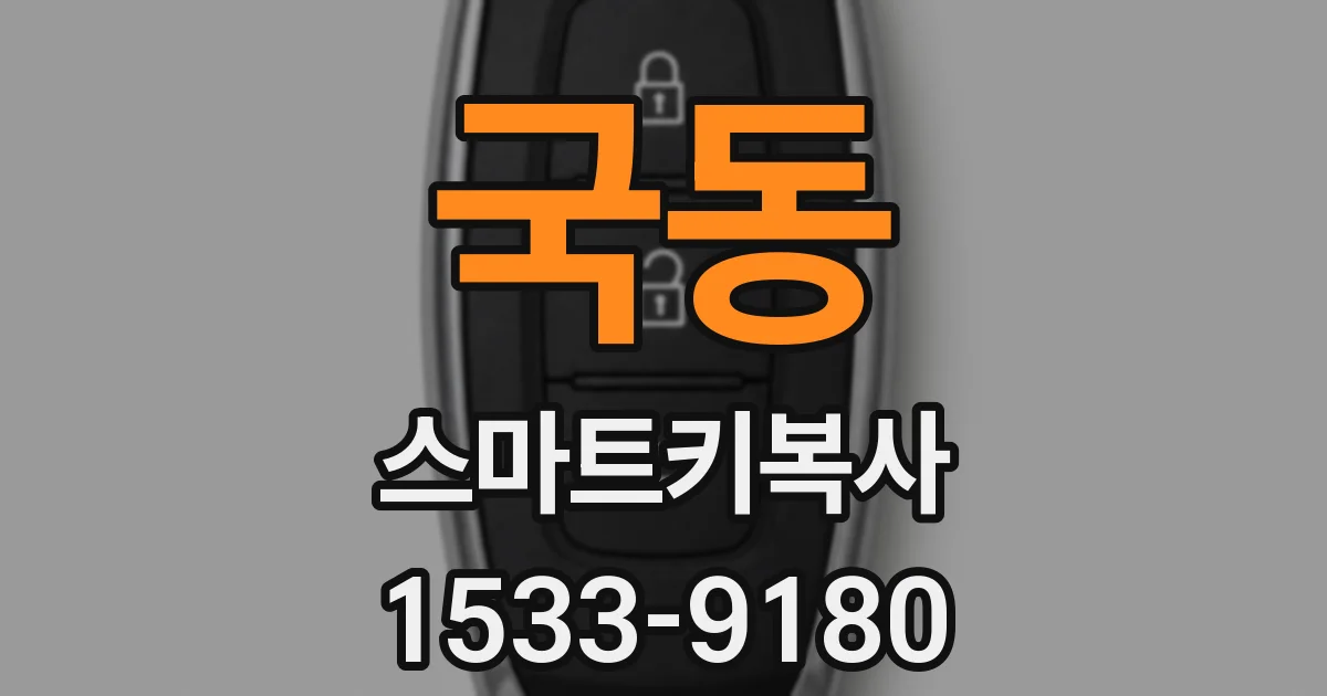 국동 스마트키복사