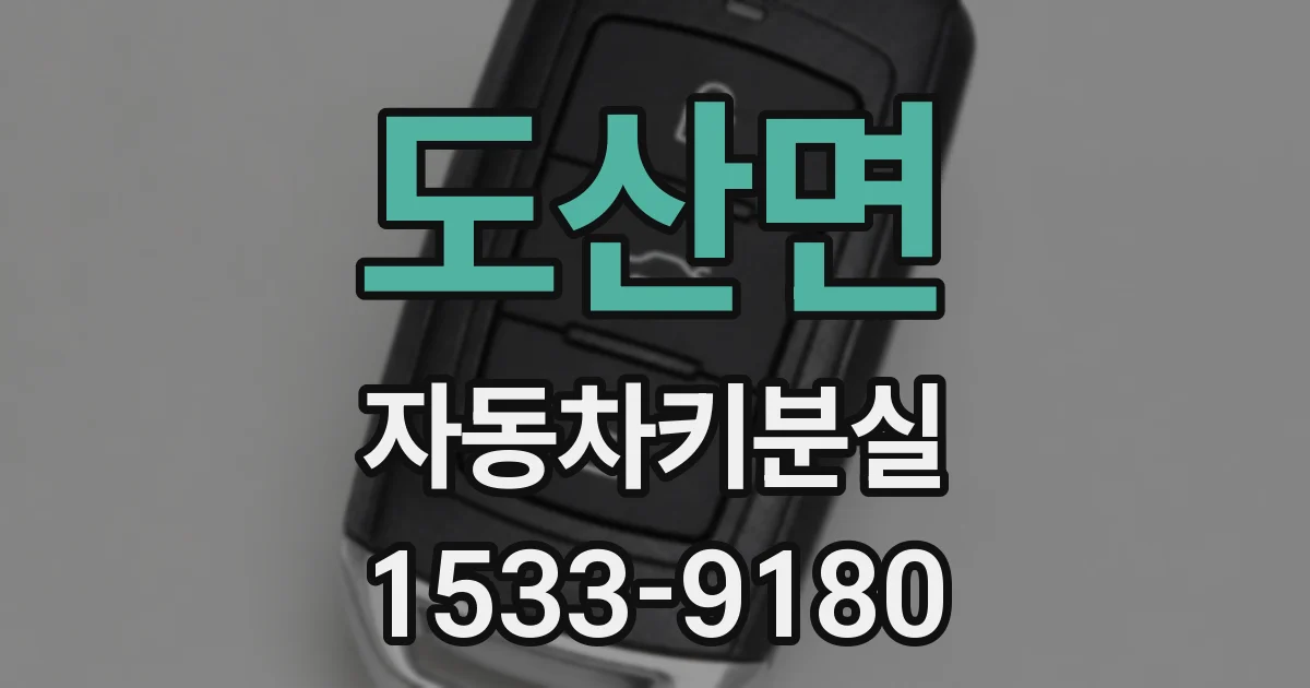도산면 자동차키분실