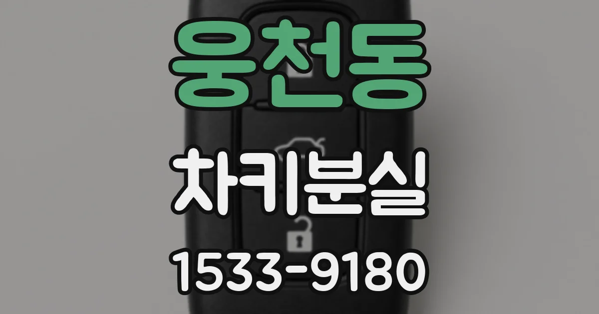 웅천동 차키분실