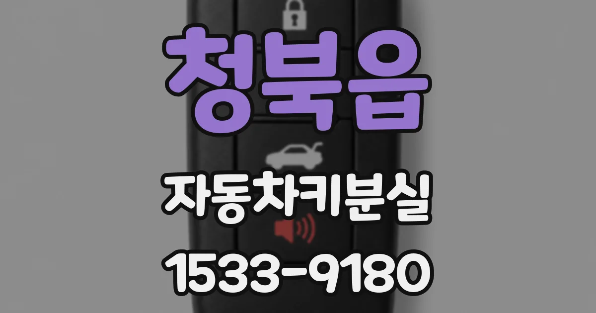 청북읍 자동차키분실