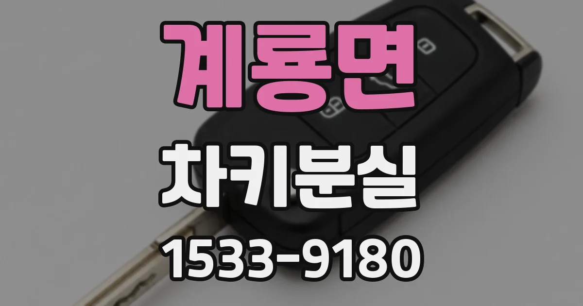 계룡면 차키분실