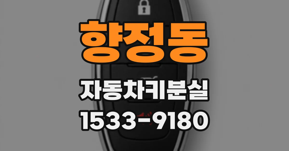향정동 자동차키분실