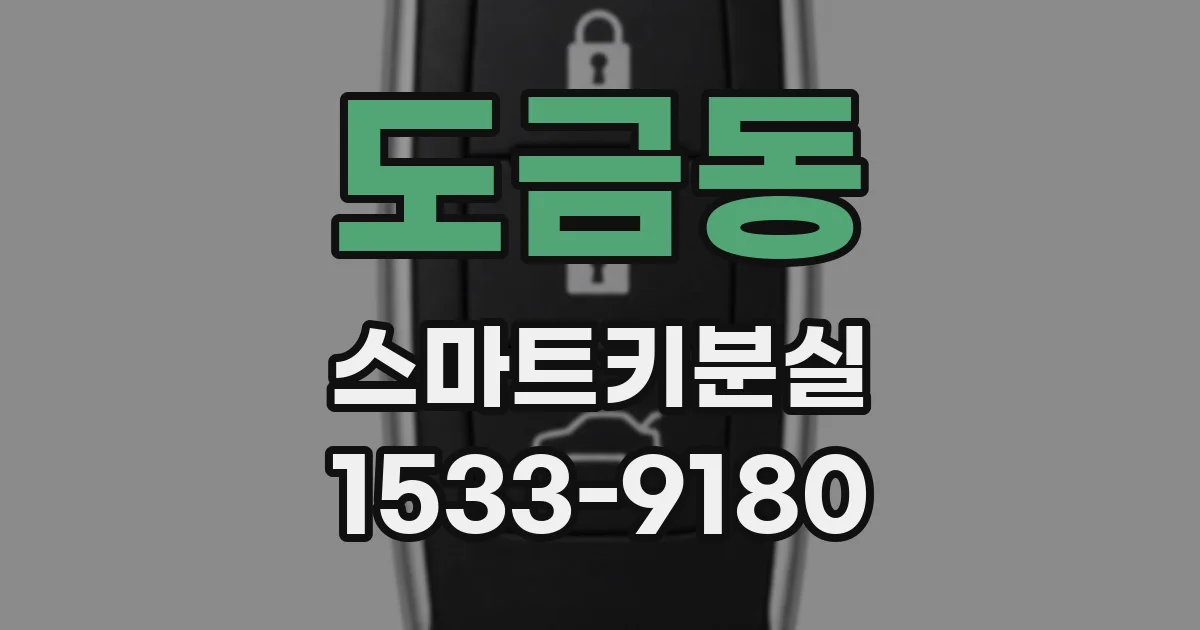 도금동 스마트키분실