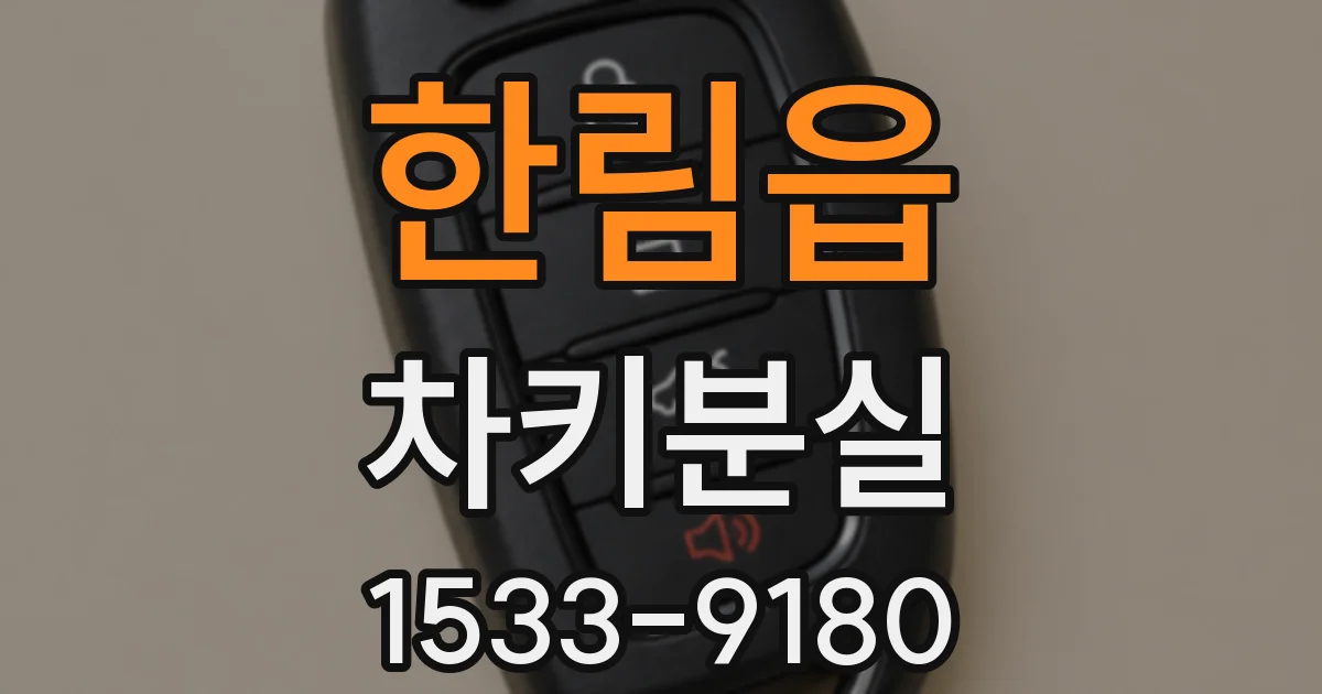 한림읍 차키분실