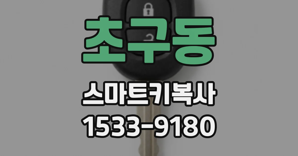 초구동 스마트키복사