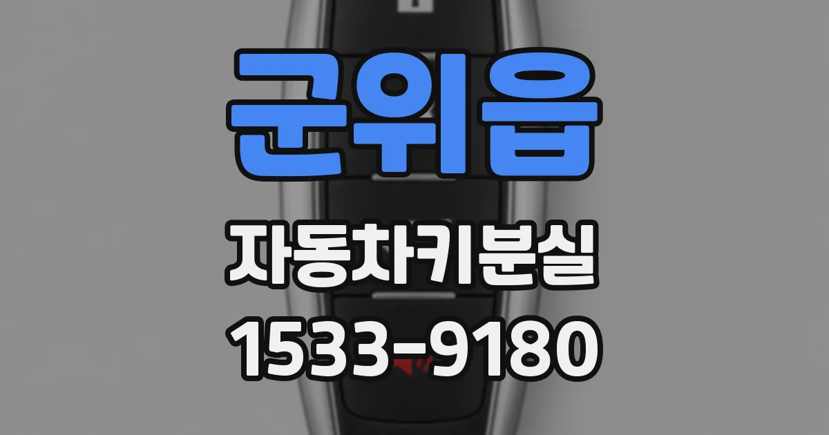 군위읍 자동차키분실