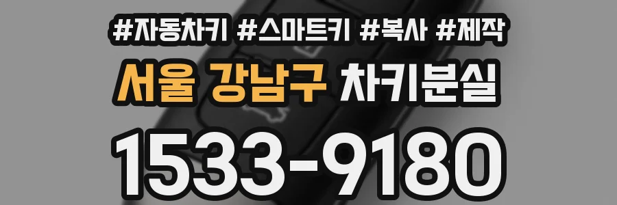 서울 강남구 차키분실