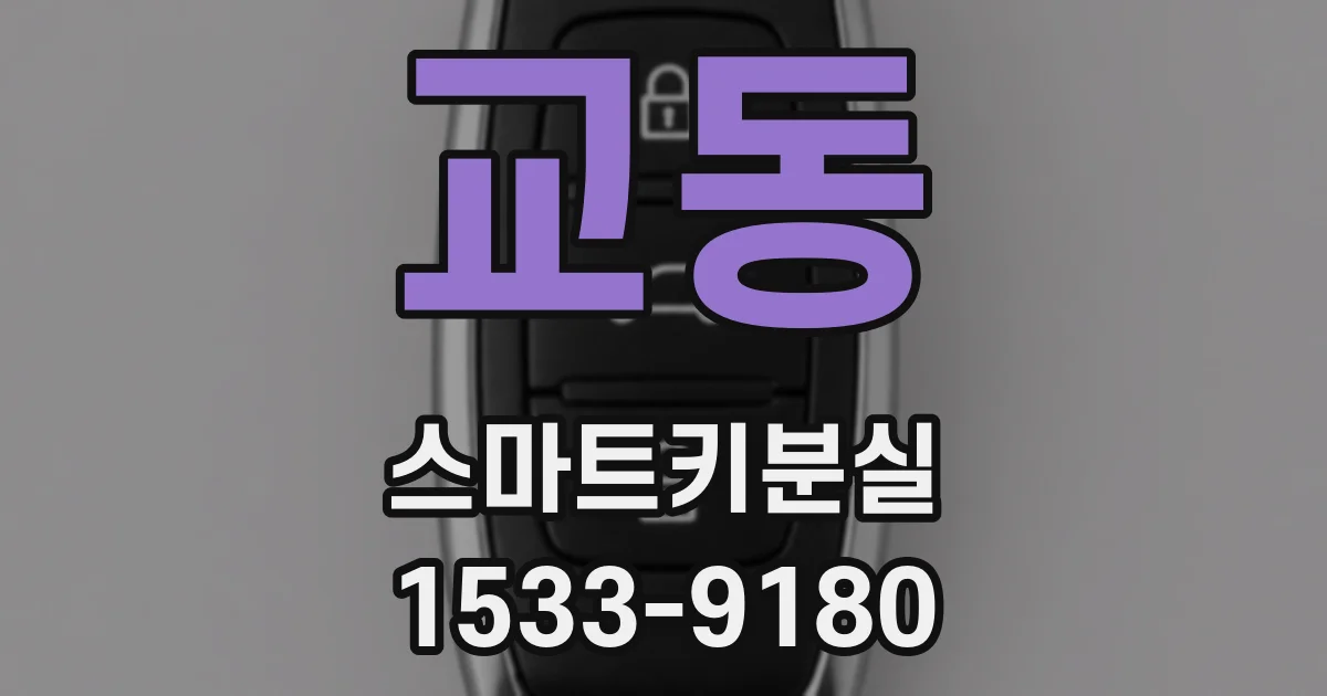 교동 스마트키분실