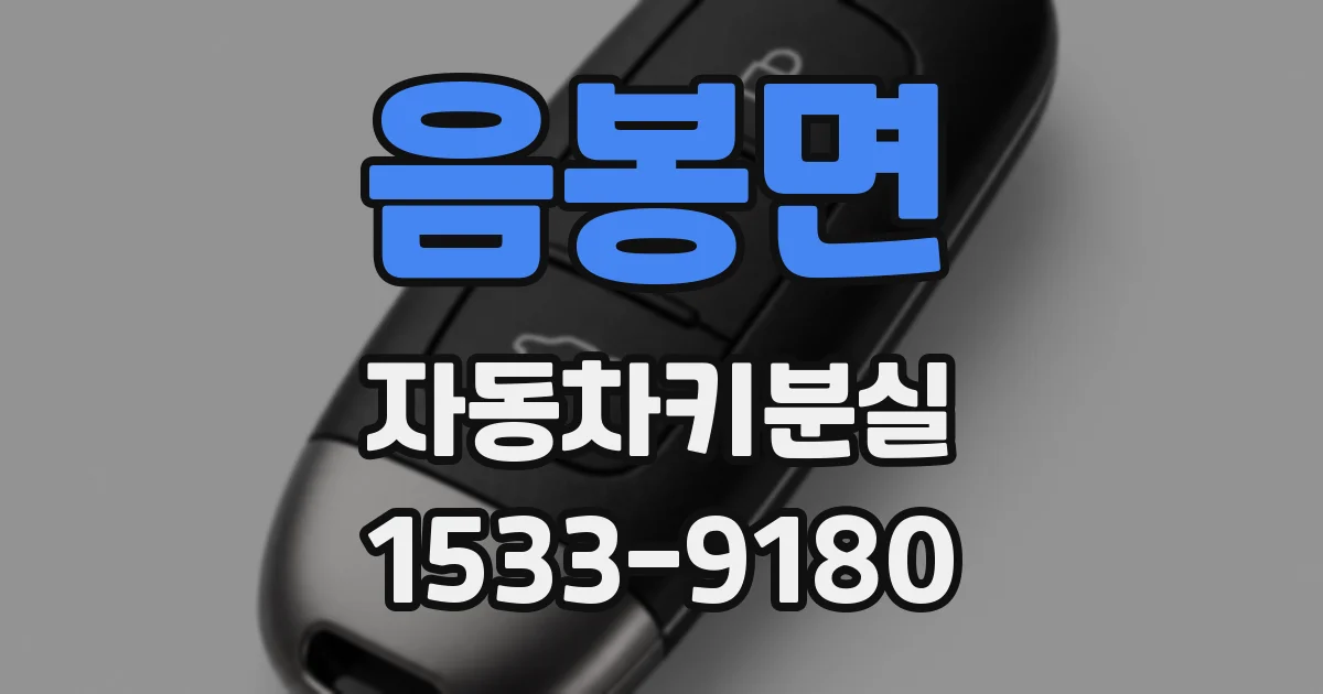 음봉면 자동차키분실